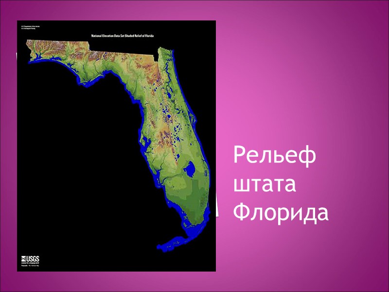 Рельеф штата Флорида